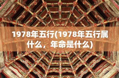 1978年五行属什么